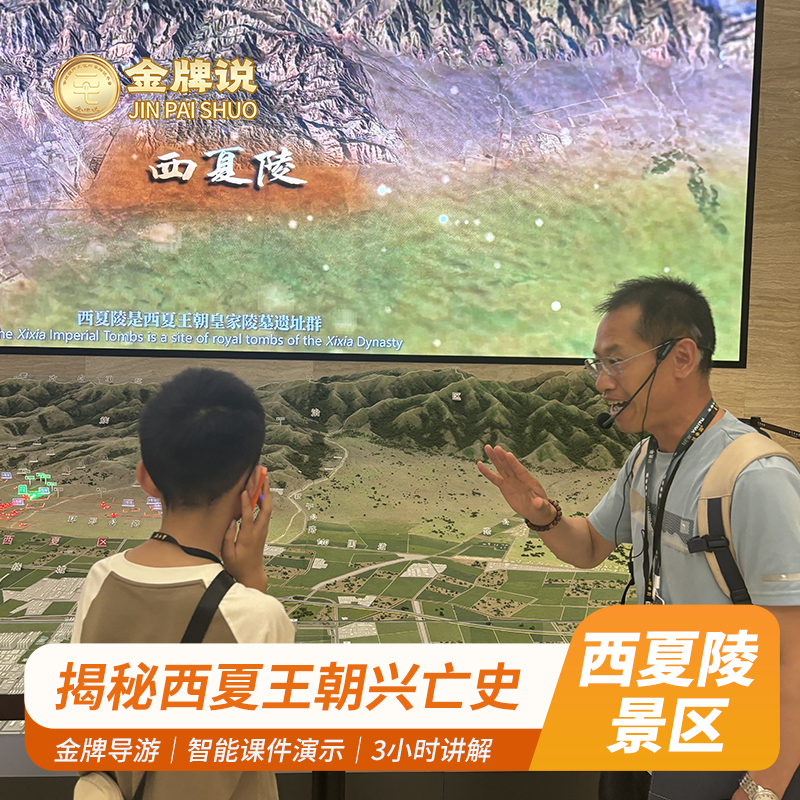 金牌说●西夏陵讲解3H金牌导游大咖精讲西夏陵遗址小包团精讲团 - 定制游预订