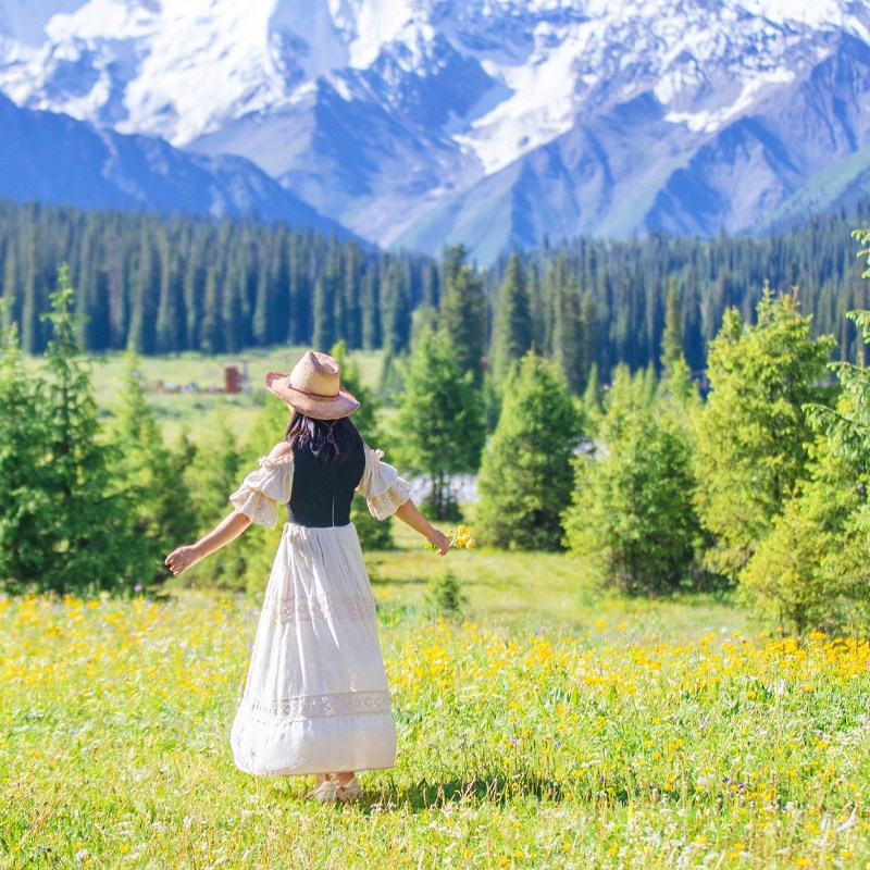 新疆旅游冬季阿勒泰喀纳斯禾木赛里木湖8日游纯玩拼或独立小团 - 定制游预订