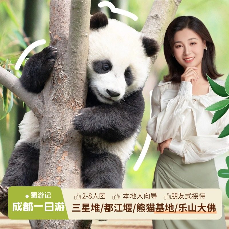 暑假不涨价2-8人团 成都三星堆熊猫都江堰乐山纯玩一日游