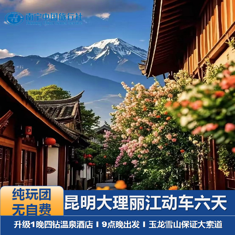 广西动车出发云南昆明大理丽江保证冰川大索道纯玩无自费6天5晚游 - 定制游预订