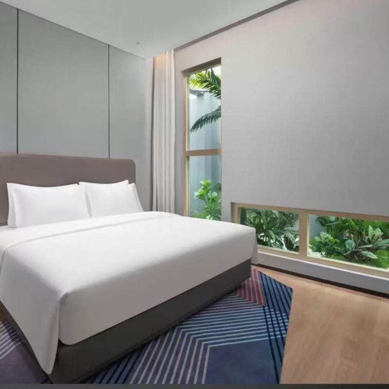 2天1晚哈尔智选假日酒店滨中央大街店/冰雪大世界店/会展中心店+可选其他酒店