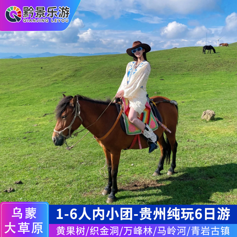 【1-6人小团】贵州旅游纯玩6天5晚黄果树织金洞乌蒙大草原万峰林 - 定制游预订