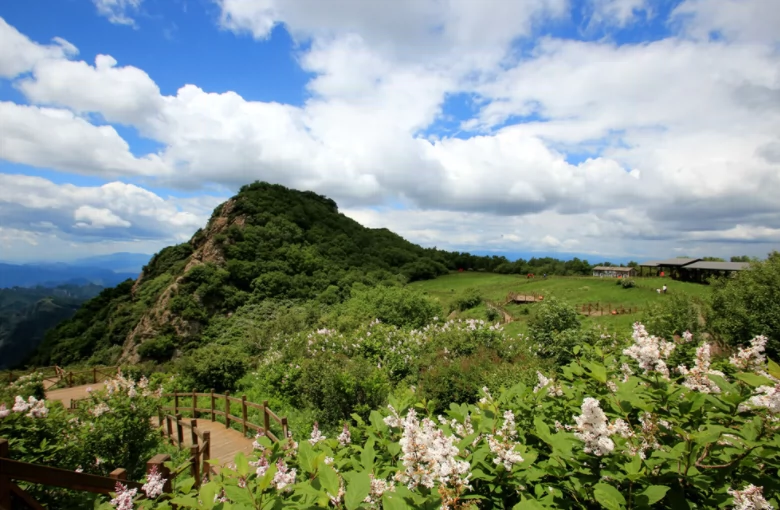 高山草甸图片