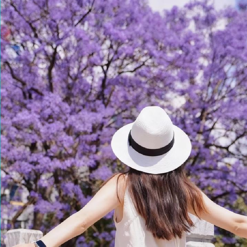 【周末游】昆明南屏街希尔顿酒店3天2晚自由行+滇池+民族村+昆明老街+翠湖公园