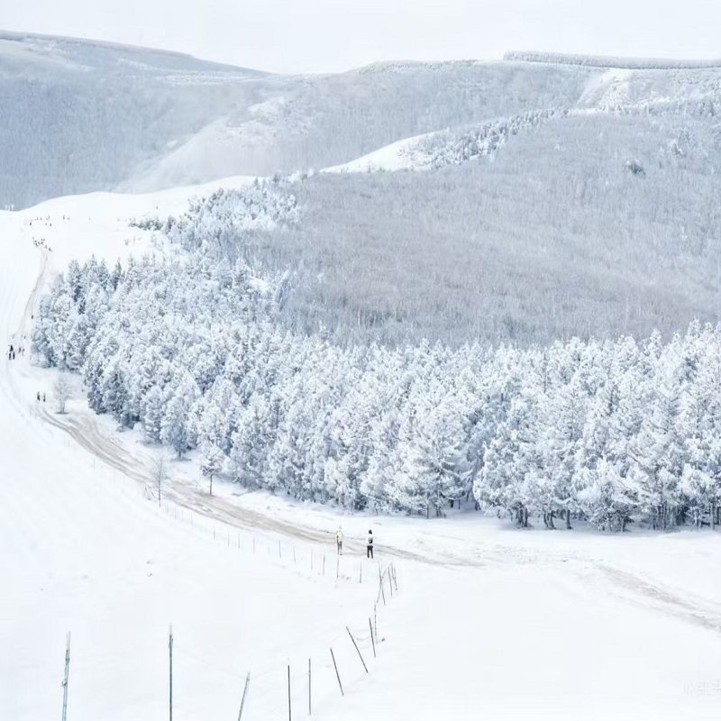 赤峰乌兰布统自由行 向北假日酒店1晚 +鄂温克驯鹿园门票2张