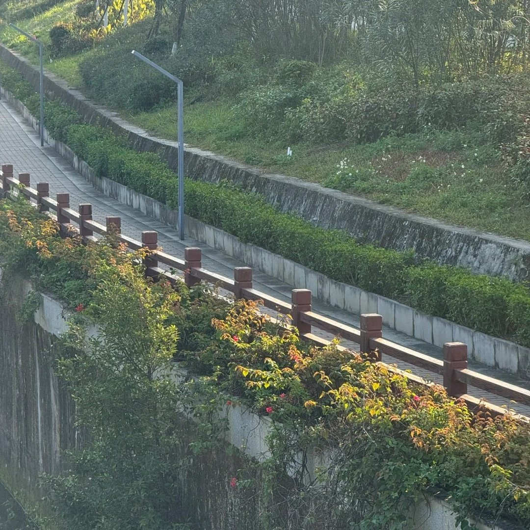 阿勒泰云雪国际度假酒店住宿+可可托海景区成人票