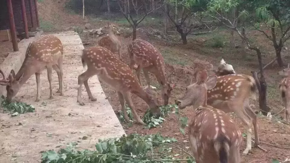 大角峪村图片