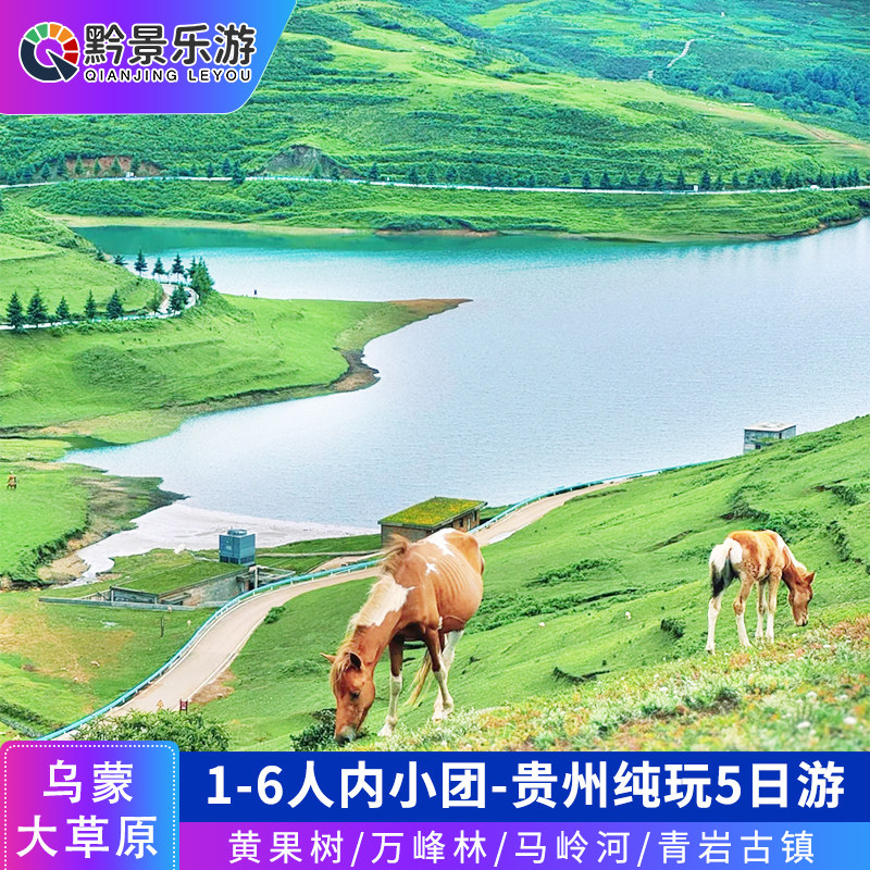 【1-6人小团】贵州旅游纯玩5天4晚黄果树乌蒙大草原万峰林马岭河 - 定制游预订