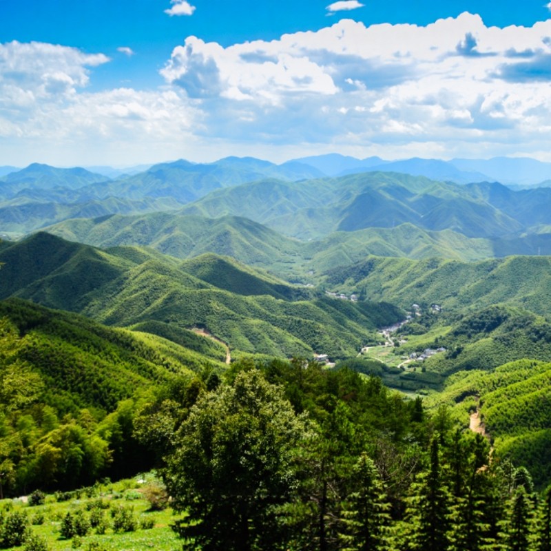 【莫干山奢享之旅】2天1晚湖州莫干山郡安里度假酒店+莫干山/下渚湖湿地公园双景任选