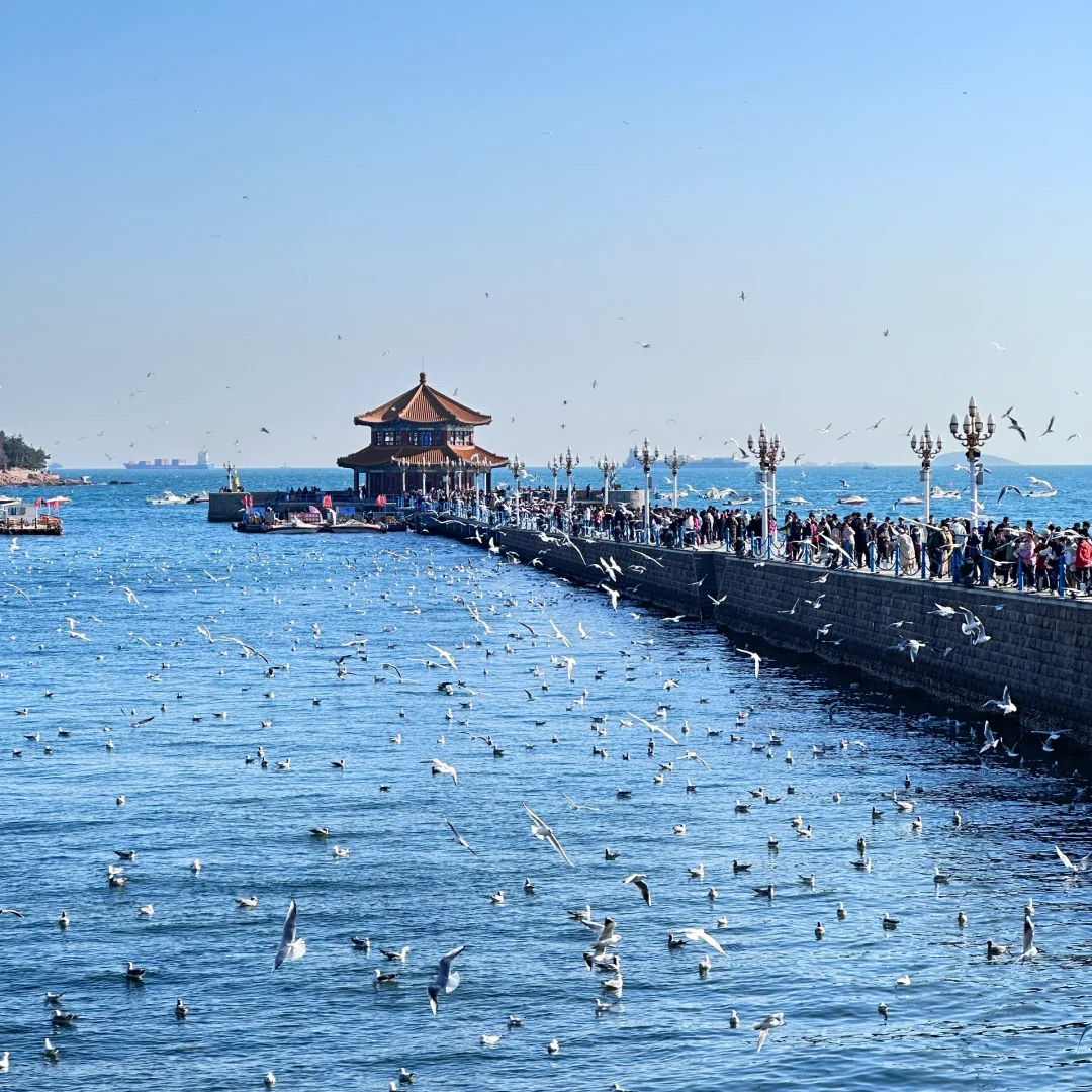青岛金茂万丽酒店住宿+森林野生动物世界成人门票 - 定制游预订