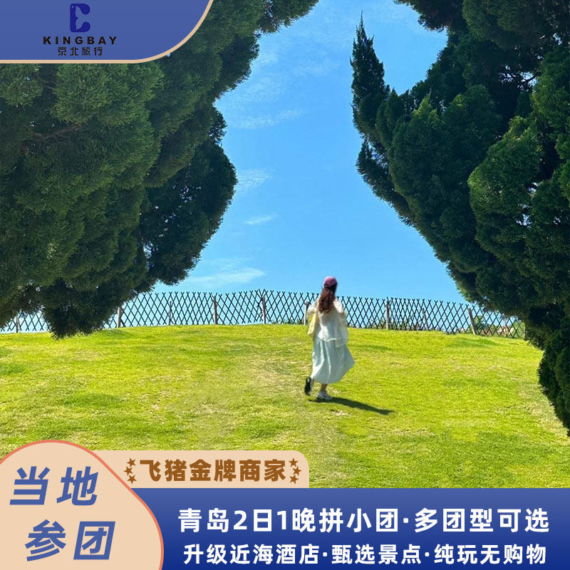 青岛2日1晚6人小团丨多酒店套餐可选+纯玩无购物无自费 - 定制游预订