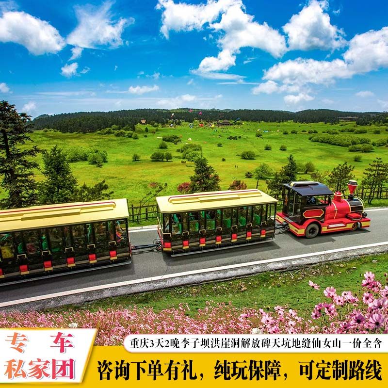 印象重庆3日游李子坝洪崖洞解放碑武隆天坑地缝仙女山独立私家团 - 定制游预订