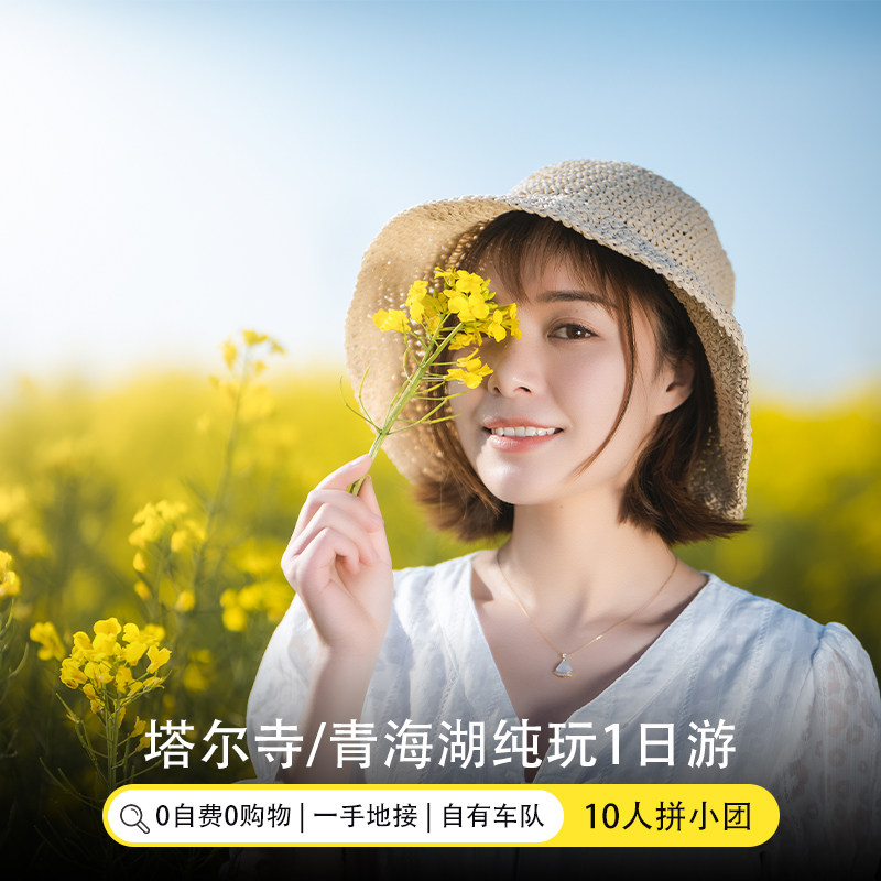 拉脊山/青海湖/日月山/倒淌河/金银滩/原子城/西宁一日游 - 定制游预订