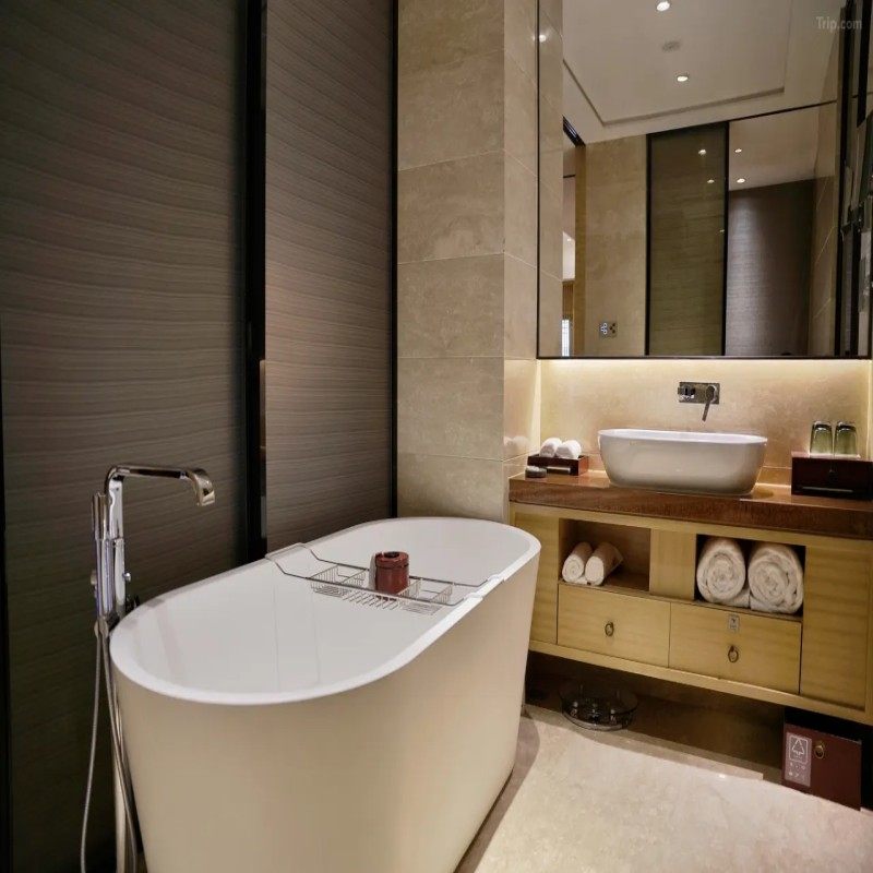 【YT】5天4晚丨杭州运河黄龙璀丽酒店丨雅舍房+杭州植物园