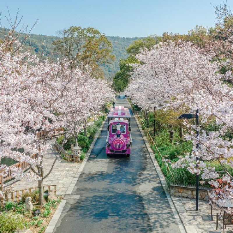 无锡拈花湾拈花客栈/禅意村舍度假套餐2天1晚含双人门票双人早餐