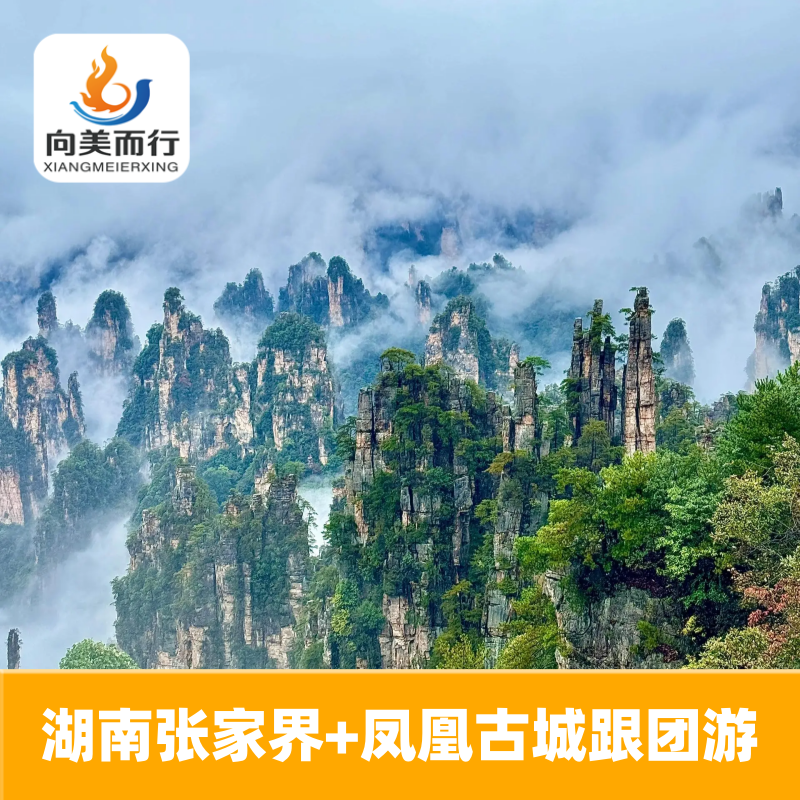 哈尔滨出发张家界5天4晚亲子家庭小包团跟团游 - 定制游预订