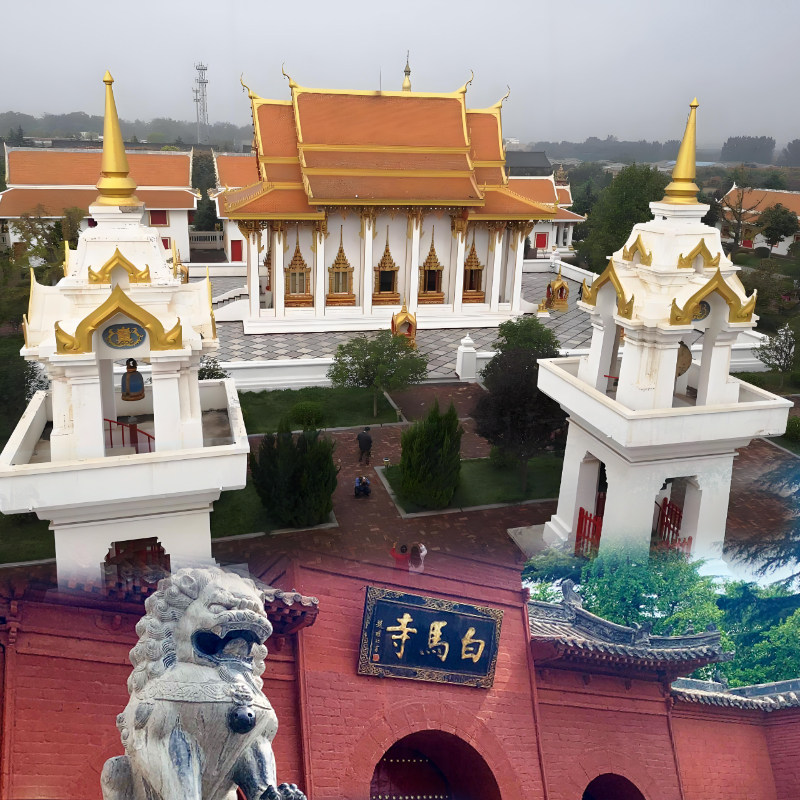 河南洛阳旅游4天3晚20人小团纯玩跟团游少林寺洛阳博物馆龙门石窟 - 定制游预订