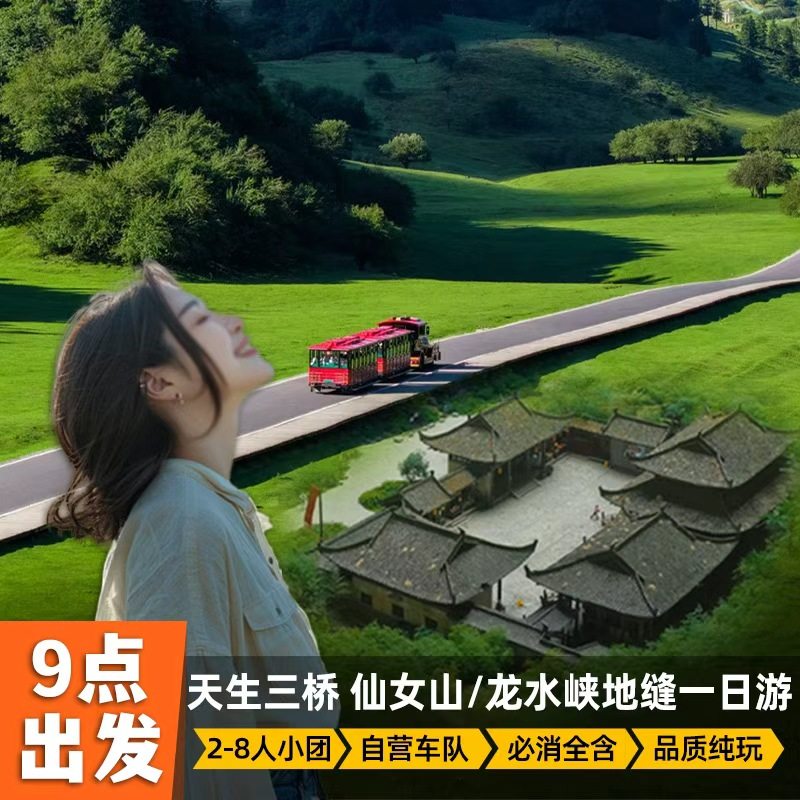 九点出发|重庆武隆一日游纯玩小团跟团游包车旅游天坑地缝仙女山 - 定制游预订