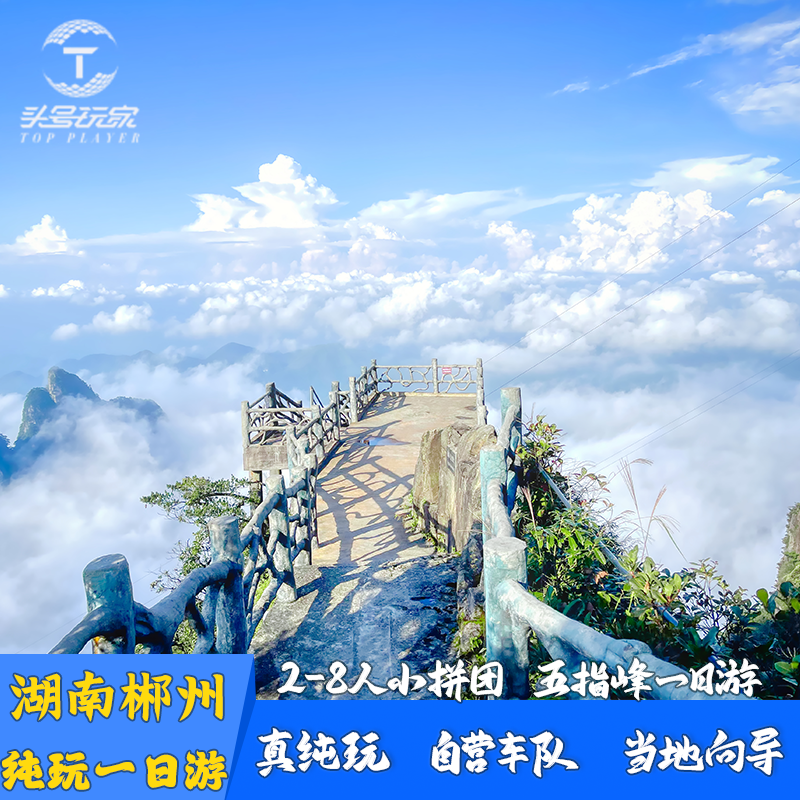 2-8人郴州莽山五指峰景区一日游(云海雾凇‖景点门票+上下索道) - 定制游预订