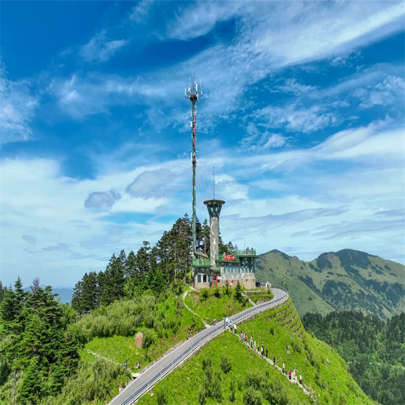 『私家包车游|武汉+神农架+大九湖全景5日游』省博物馆 登黄鹤楼 - 定制游预订