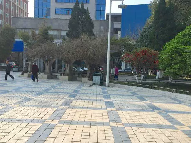 【汉中街心花园天气预报】最新实时一周天气,汉中旅游指数/交通指数