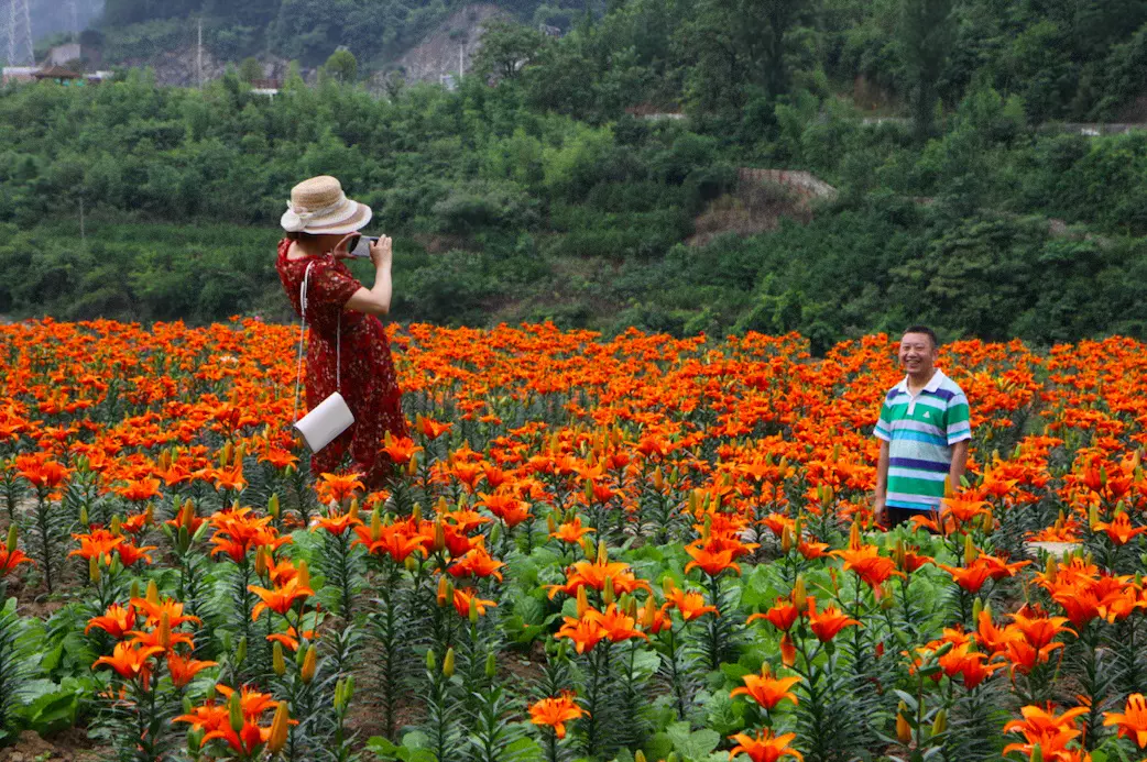 金银谷（银厂沟观花点）图片