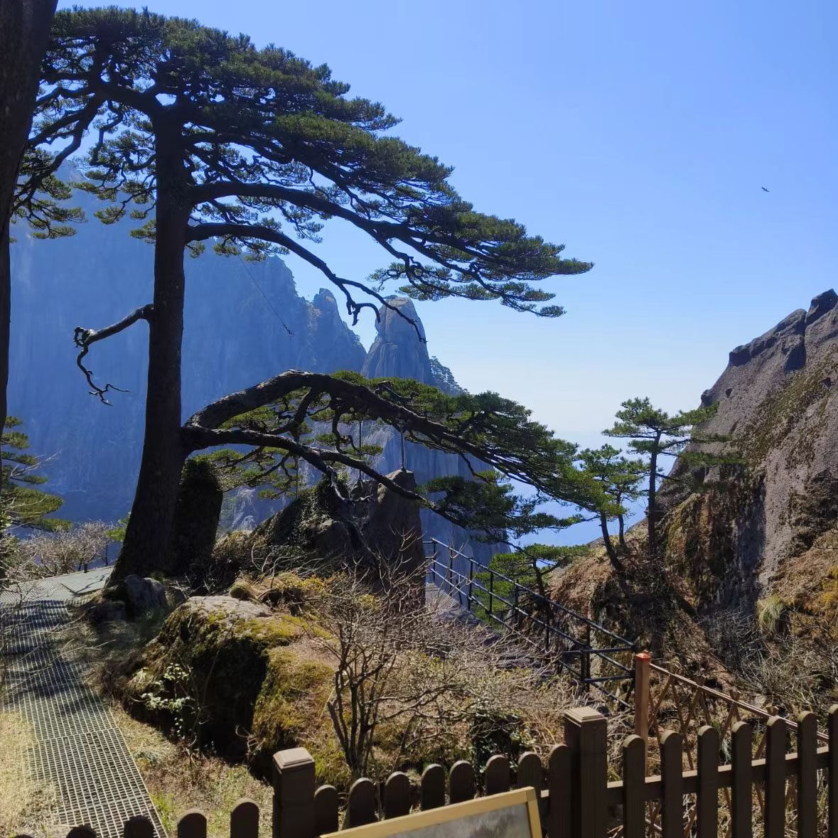 黄山+宏村西递+千岛湖+婺源篁岭+三清山6日跟团游,人气IP皖赣连线 - 定制游预订