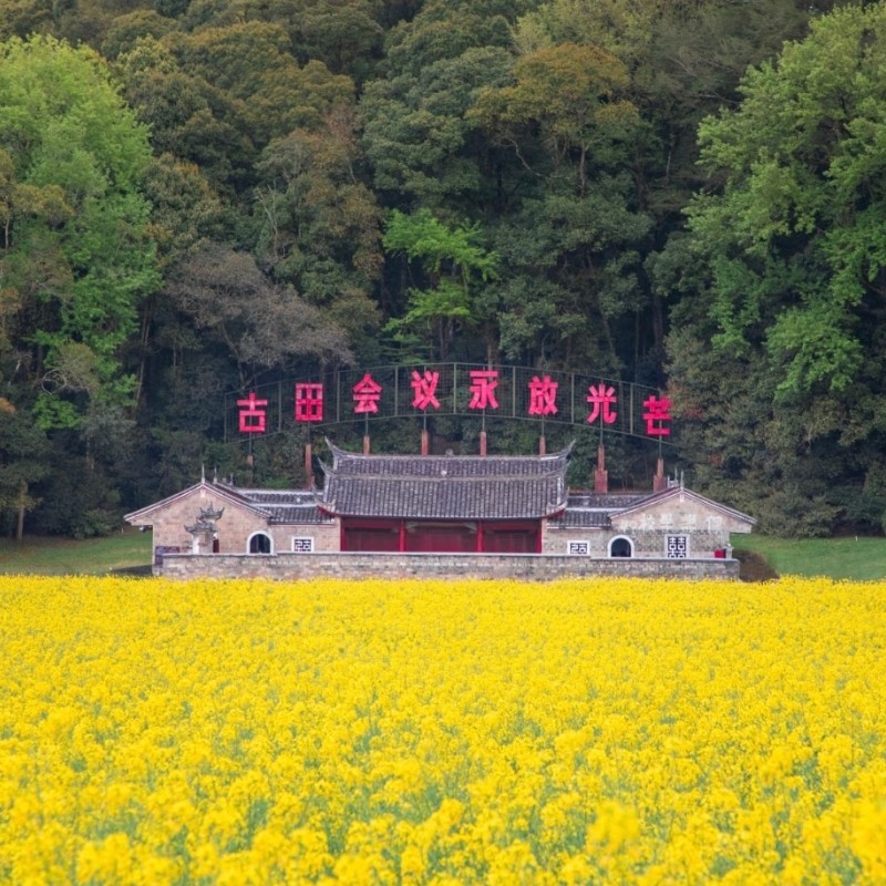 【乐享】龙岩万华皇冠大酒店豪华套房五天四晚+汀州古城+冠豸山+古田会议会址