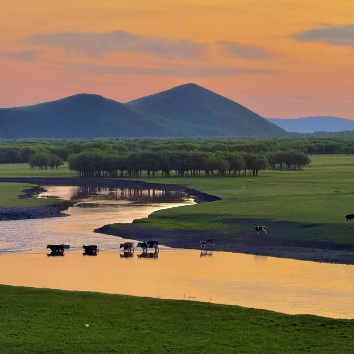 【畅玩】内蒙古途客国际酒店商务套房5天4晚+清真大寺 - 定制游预订