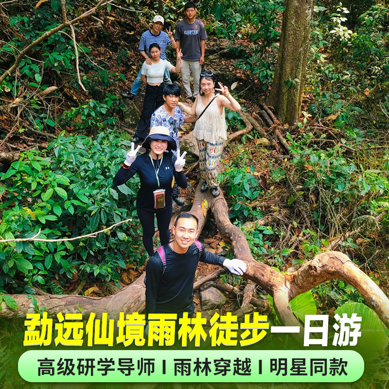 西双版纳勐远仙境 雨林徒步 一日游 雨林穿越-适合亲子家庭 - 定制游预订