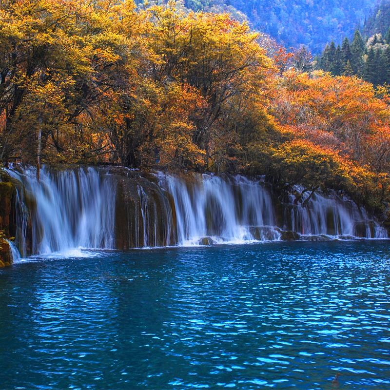 一价全含阿坝全景七日游九寨沟莲宝叶则四姑娘山毕棚沟私家独立团 - 定制游预订