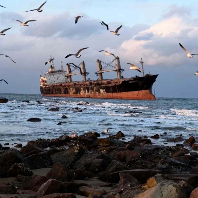 【威海自由行】香海豪生/城投北辰//铂丽斯/信泰国际酒店/九紫黄龙/龙源海怡