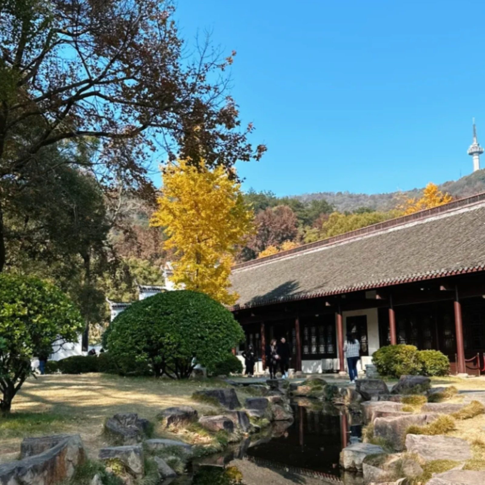 【专业团建/接待】爱晚亭+岳麓书院门票+书院人工讲解1.5H含耳麦 - 定制游预订