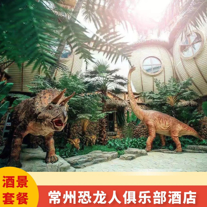 常州恐龙人俱乐部酒店1晚+双人恐龙园两日无限次门票+双早 - 定制游预订