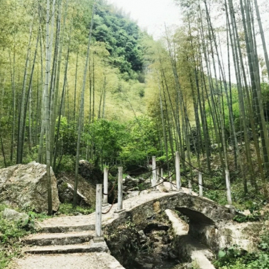 【宿花间镜/多重礼遇】2晚安徽宣城宁国皖南川藏线花间境·晓雾+云景牛山等套票1送1