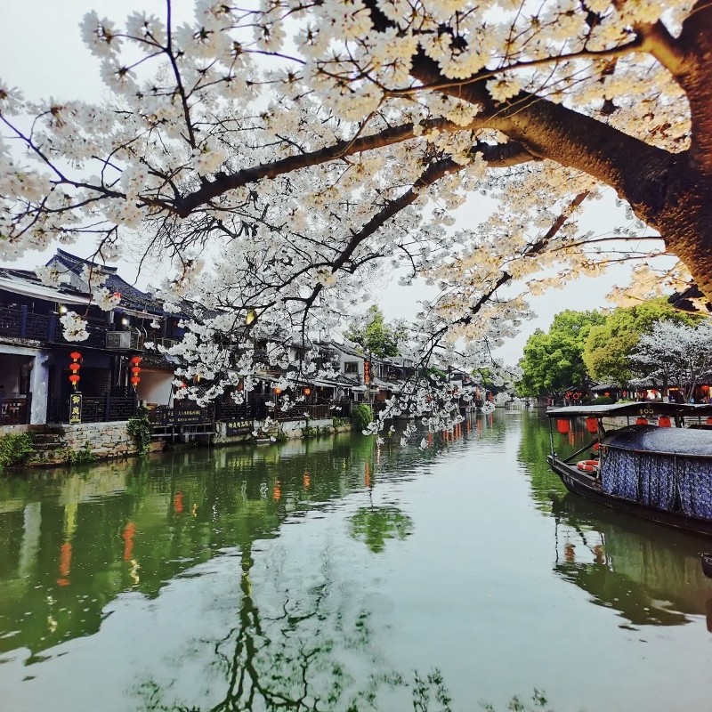 【乐享】嘉兴高端连锁品牌酒店2天1晚自由行+西塘古镇