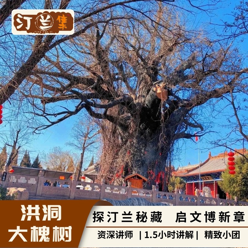 洪洞大槐树寻根祭祖园【汀兰集 金牌讲师 1.5小时讲解 私家团】 - 定制游预订