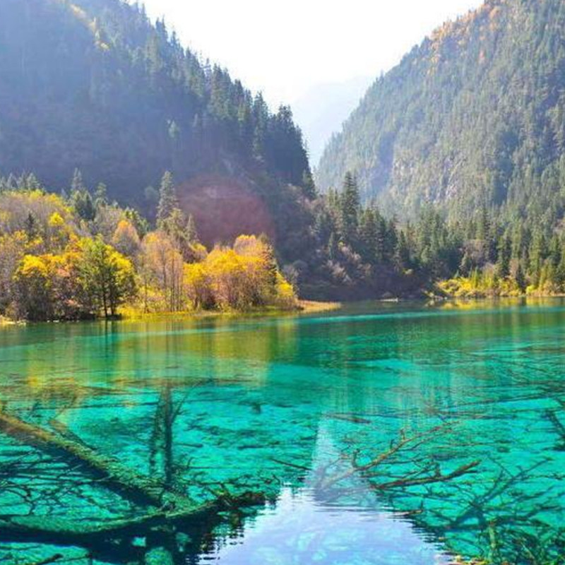 九寨沟纯玩一日游包车九寨沟旅游1日游 - 定制游预订