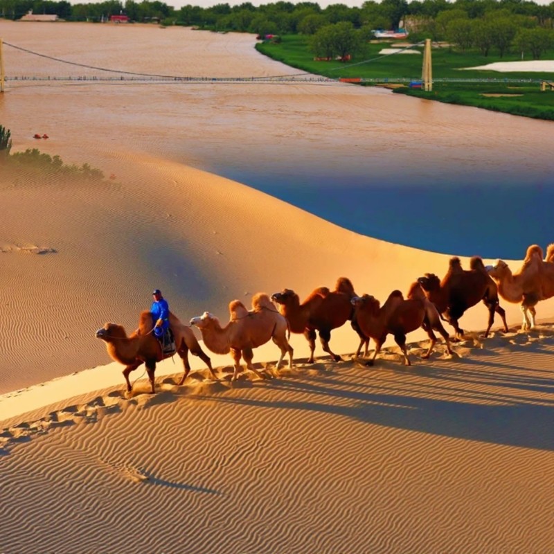 【大乐沙鸣·超值礼遇】宁夏中卫大乐之野1晚+沙坡头门票含景交车