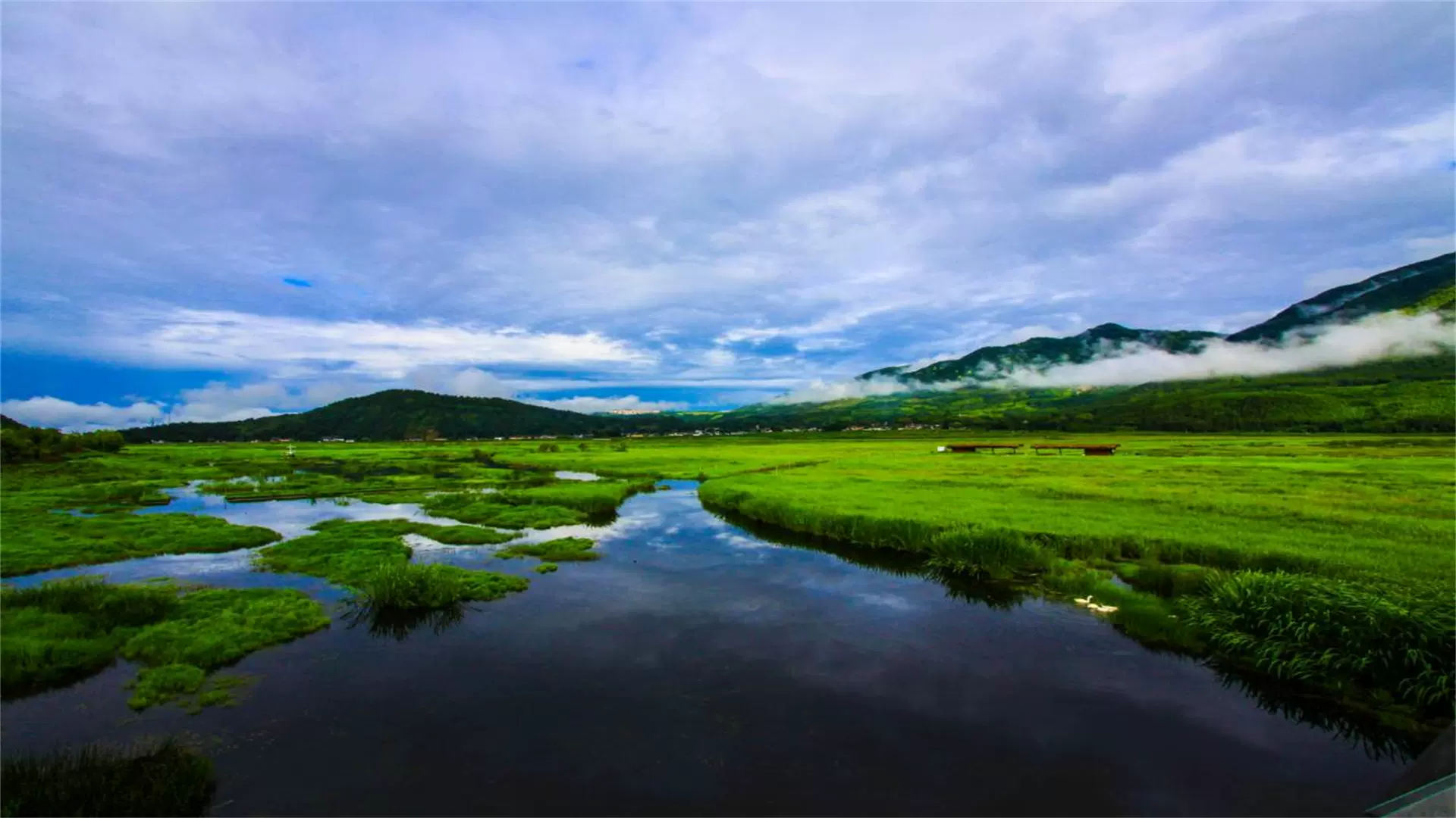 腾冲北海湿地