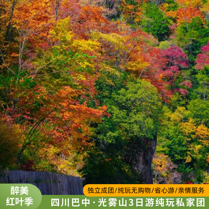 【红叶季】成都出发光雾山3日游包车 亲情服务 省心游 可制定行程 - 定制游预订