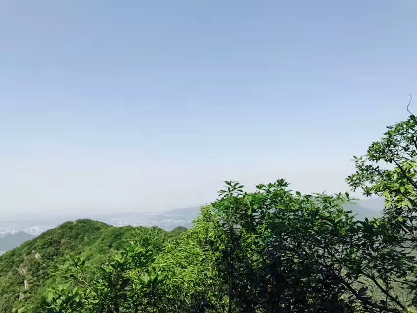 午潮山国家森林公园-金莲寺图片