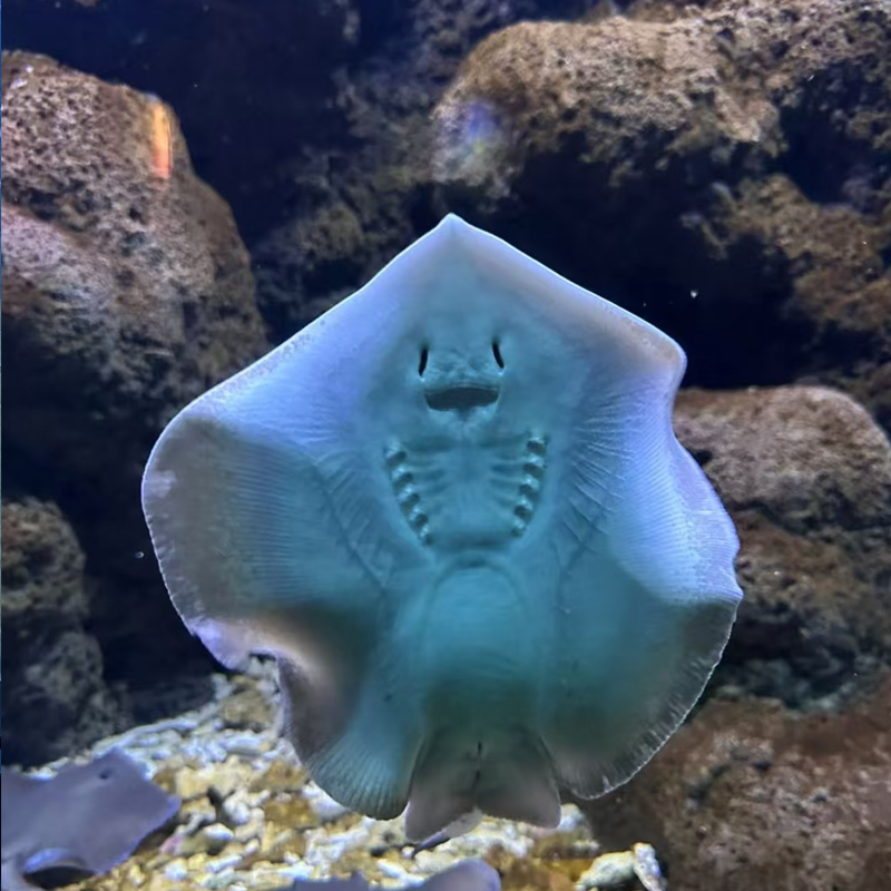 汽车出发广东深圳4天3晚惠州自由行 - 定制游预订