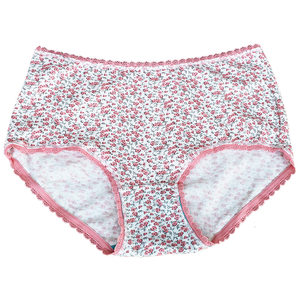 AB underwear and underwear ladies mid -waist cotton thin all cotton girl antibacterial small flat foot low waist shorts 1044
