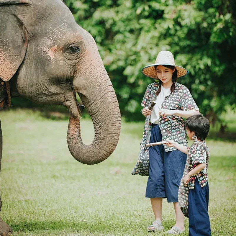 西双版纳野象谷一日游可选雨林牧象 曼掌村 大象体检 大象洗澡