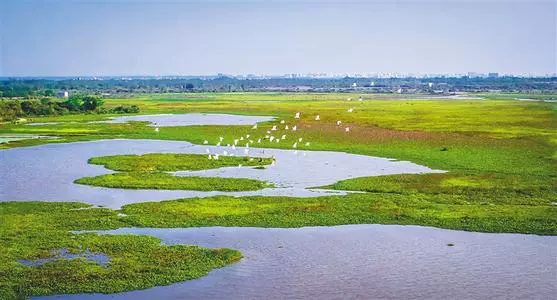 海口潭丰洋省级湿地公园图片