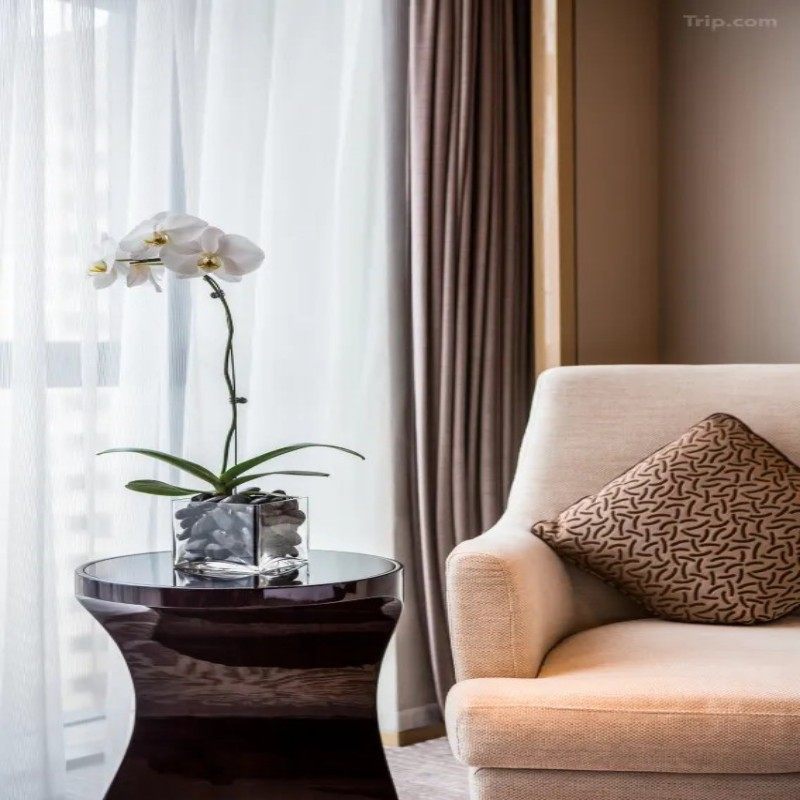 元旦春节假期可定 山东潍坊自由行1-5日 潍坊富力铂尔曼酒店1晚2日 可选其他酒店