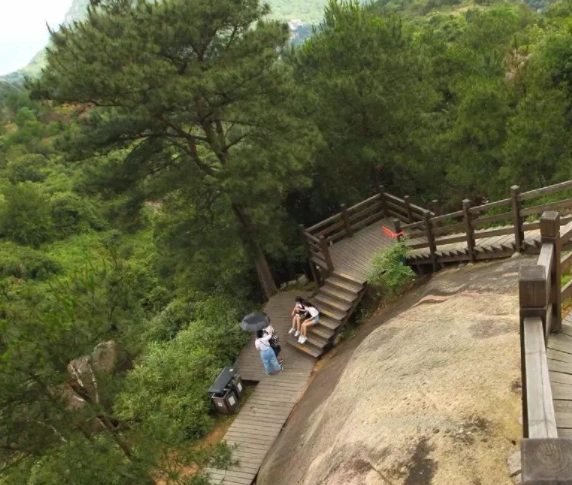 仙岩登山步道-栈道图片