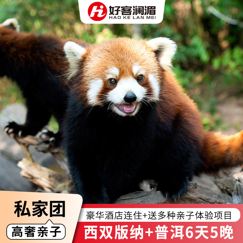 【高奢私家团】西双版纳+普洱6天5晚纯玩私家团亲子蜜月家庭旅行 - 定制游预订