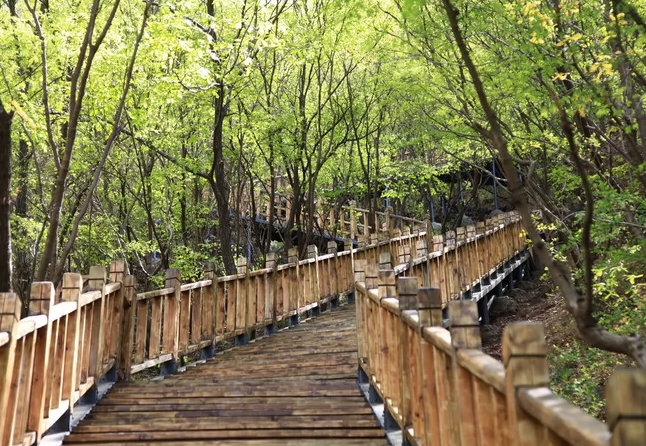 百里峡天梯栈道图片